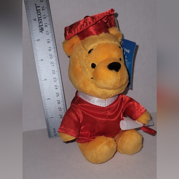 Disney Winnie-the-Pooh graduation bear New tags diploma cap shirt gown tassle - Picture 5 of 8